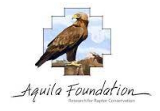 Fundación Aquila